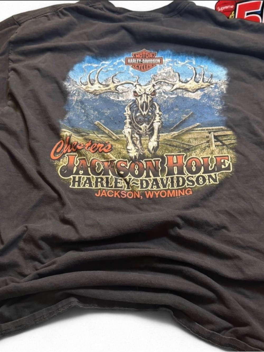 Harley-Davidson Jackson Hole Graphic Tee - Black with Blue and Tan Print